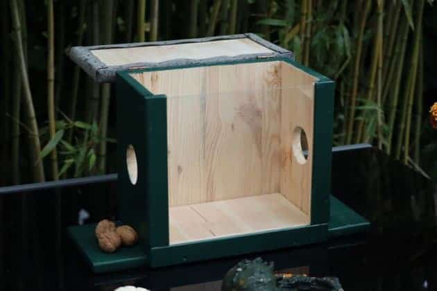 Eichhörnchen Futterhaus Bauanleitung Eichhörnchenhaus