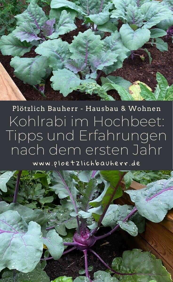 Kohlrabi im Hochbeet - Tipps und Erfahrungen nach dem ersten Jahr