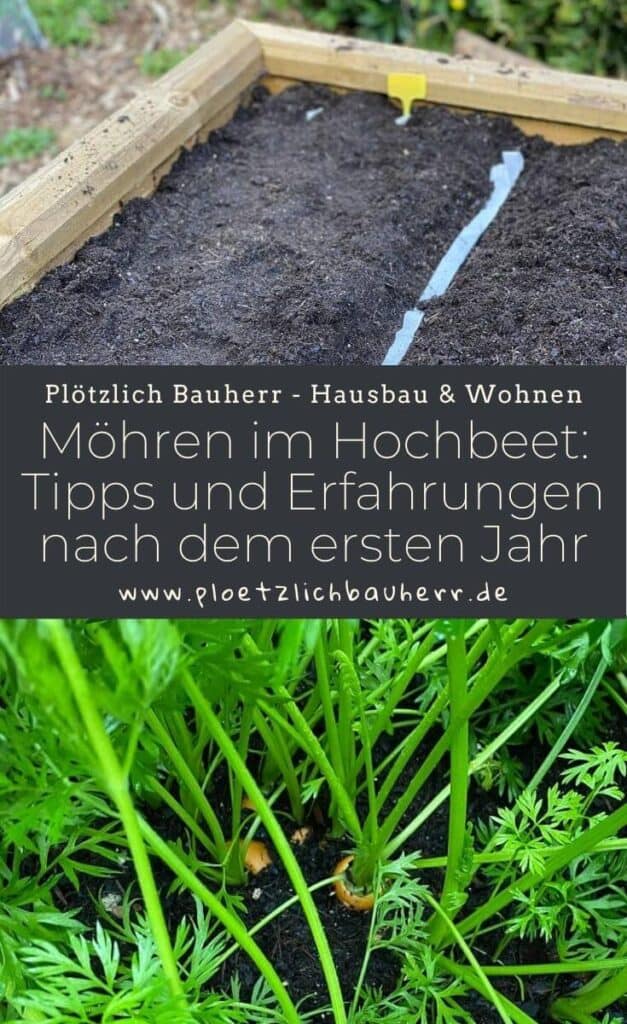 Möhren im Hochbeet Tipps zu Standort, Einsetzen, Pflege