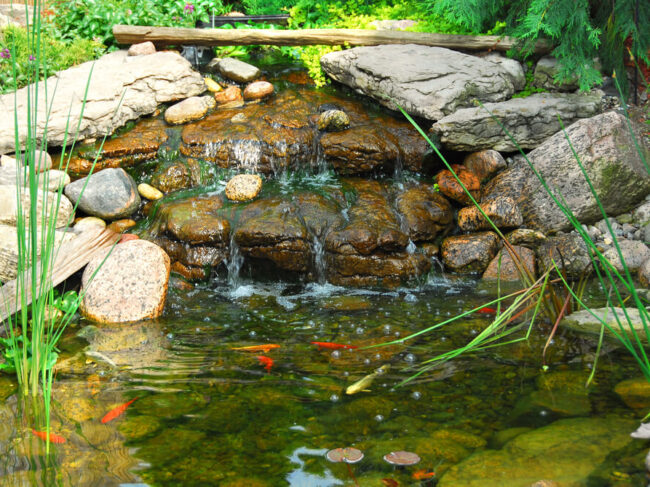 Gartenteich Die Oase der Erholung und Ruhe im eigenen Garten