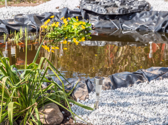 Gartenteich Die Oase der Erholung und Ruhe im eigenen Garten