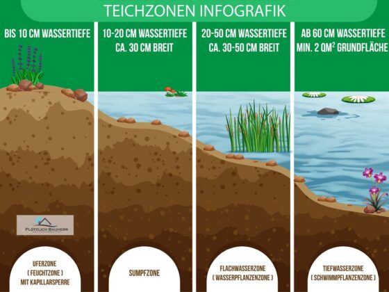 51+ Am Boden Eines Kleinen Ruhigen Teiches, Am boden eines kleinen