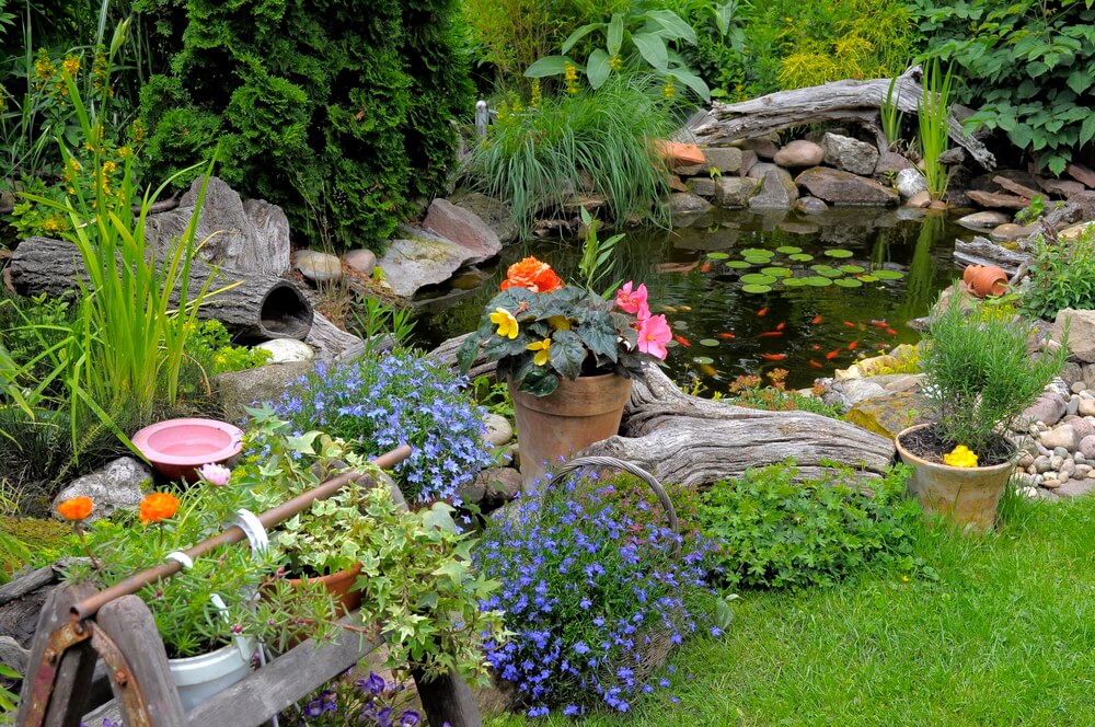 Umfangreiche Tipps für deinen Gartenteich mit Goldfischen - Von der richtigen Anlage und Pflege, sowie zu dem Goldfisch